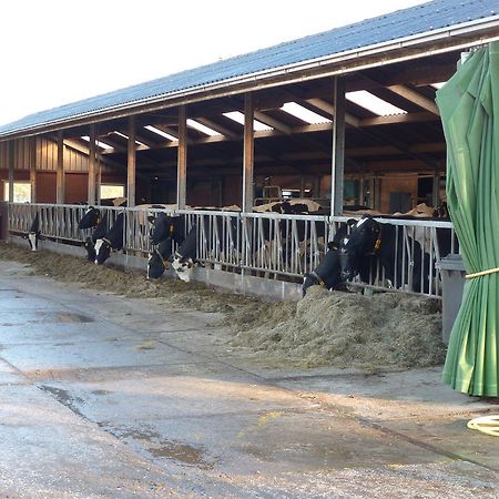 Boerderij "De Verwondering" Goudriaan Exterior foto