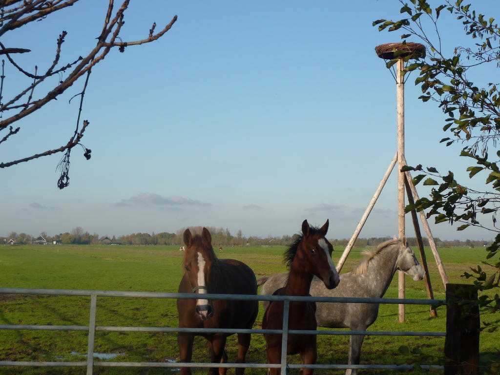 Boerderij "De Verwondering" Goudriaan Exterior foto