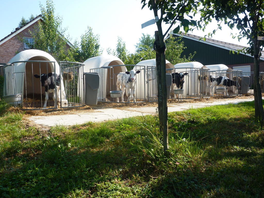 Boerderij "De Verwondering" Goudriaan Exterior foto