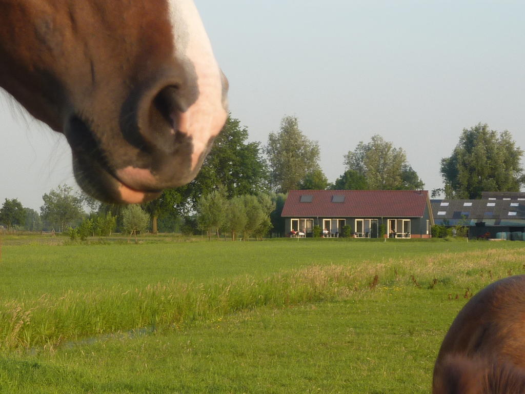 Boerderij "De Verwondering" Goudriaan Exterior foto